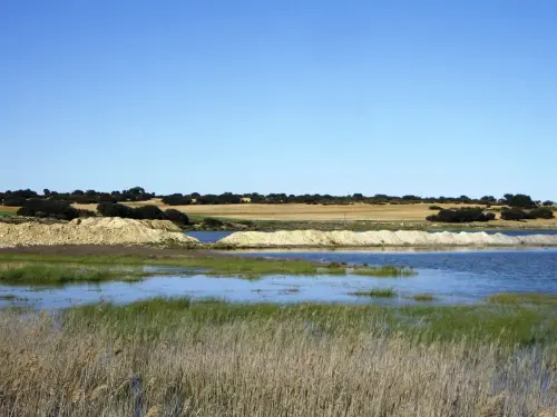 Humedales-Corral-Rubio-Laguna-de-La-Higuera-San-Jose19