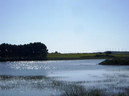 Humedales-Corral-Rubio-Laguna-de-La-Higuera-San-Jose20