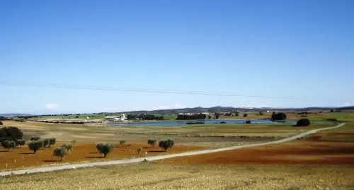 Humedales-Corral-Rubio-Laguna-de-La-Higuera-San-Jose21