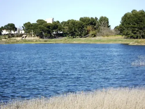 Humedales-Corral-Rubio-Laguna-de-La-Higuera-San-Jose22