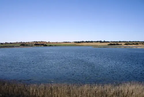 Humedales-Corral-Rubio-Laguna-de-La-Higuera-San-Jose23