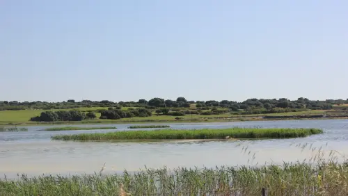 Humedales-Corral-Rubio-Laguna-de-La-Higuera-San-Jose3