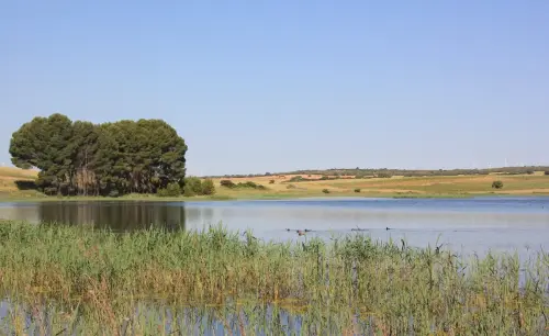 Humedales-Corral-Rubio-Laguna-de-La-Higuera-San-Jose4