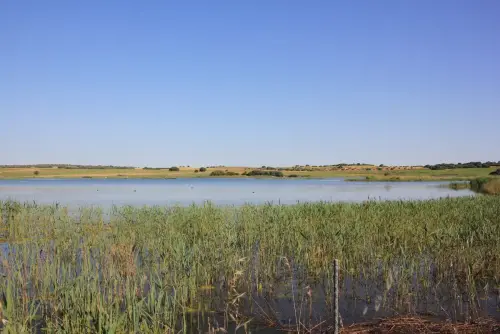 Humedales-Corral-Rubio-Laguna-de-La-Higuera-San-Jose5