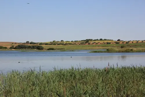 Humedales-Corral-Rubio-Laguna-de-La-Higuera-San-Jose6