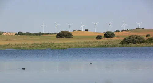 Humedales-Corral-Rubio-Laguna-de-La-Higuera-San-Jose7