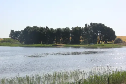 Humedales-Corral-Rubio-Laguna-de-La-Higuera-San-Jose8