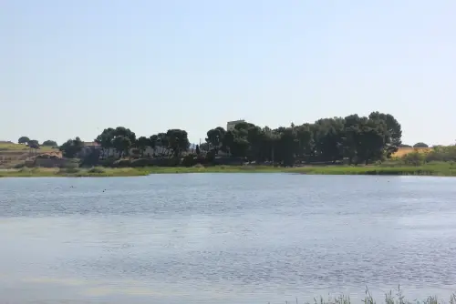 Humedales-Corral-Rubio-Laguna-de-La-Higuera-San-Jose9