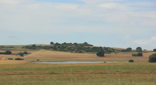 Humedales-Corral-Rubio-Laguna-de-Los-Motores