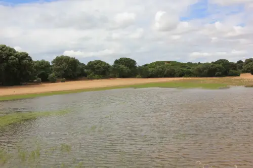 Humedales-Corral-Rubio-Laguna-de-Mojon-Blanco-Hoya-Blanca