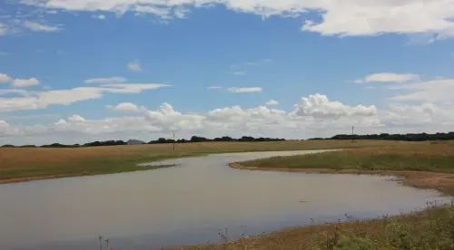 Humedales-Corral-Rubio-Laguna-de-Mojon-Blanco-Hoya-Blanca2
