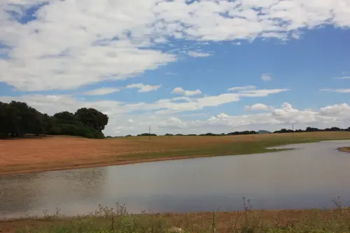 Humedales-Corral-Rubio-Laguna-de-Mojon-Blanco-Hoya-Blanca3