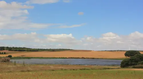 Humedales-Corral-Rubio-Laguna-de-Mojon-Blanco-Hoya-Blanca4
