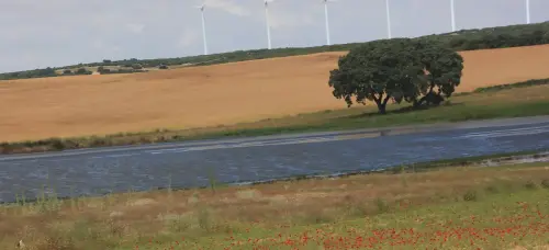 Humedales-Corral-Rubio-Laguna-de-Mojon-Blanco-Hoya-Blanca6