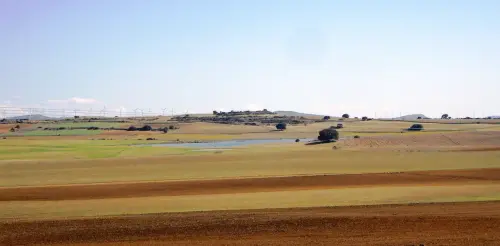 Humedales-Corral-Rubio-Laguna-de-Mojon-Blanco-Hoya-Blanca7