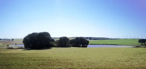 Humedales-Corral-Rubio-Laguna-de-Mojon-Blanco-Hoya-Blanca8