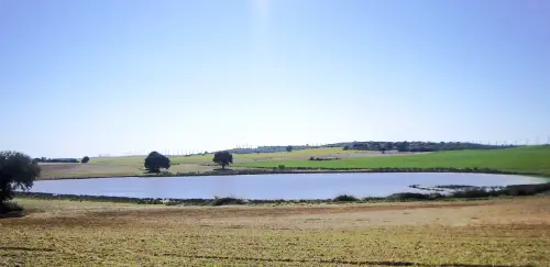 Humedales-Corral-Rubio-Laguna-de-Mojon-Blanco-Hoya-Blanca9