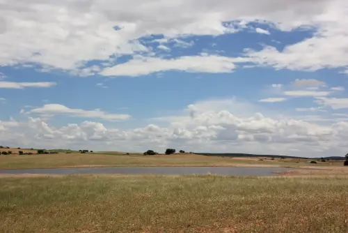 Humedales-Corral-Rubio-Laguna-del-Salarejo