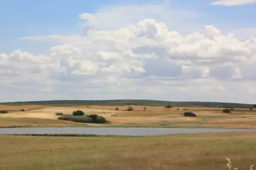 Humedales-Corral-Rubio-Laguna-del-Salarejo3