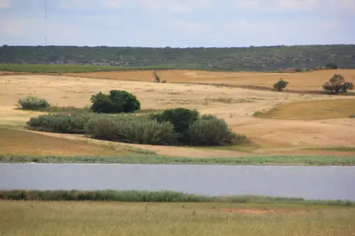 Humedales-Corral-Rubio-Laguna-del-Salarejo4