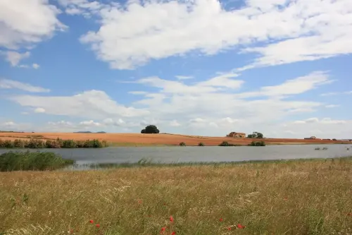 Humedales-Corral-Rubio-a-Bonete-La-Torrecilla11