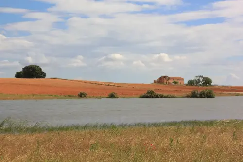 Humedales-Corral-Rubio-a-Bonete-La-Torrecilla15