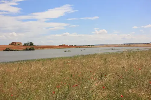 Humedales-Corral-Rubio-a-Bonete-La-Torrecilla16