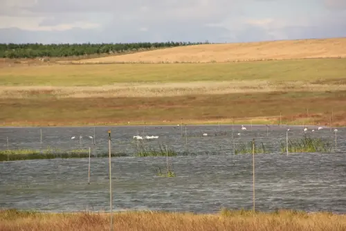 Humedales-Corral-Rubio-a-Bonete-La-Torrecilla3