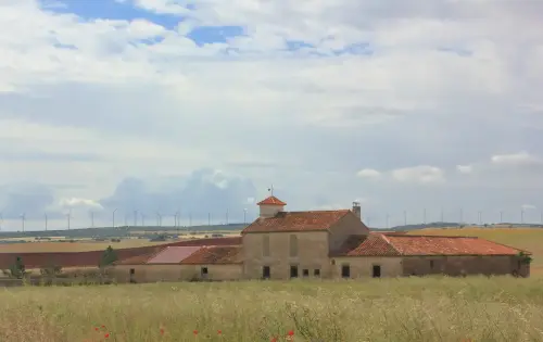 Humedales-Corral-Rubio-a-Bonete-La-Torrecilla4