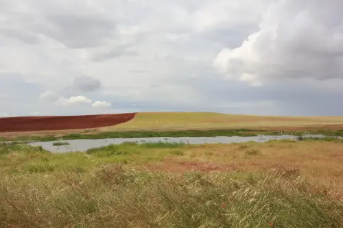 Humedales-Corral-Rubio-a-Bonete-La-Torrecilla6