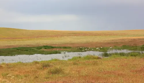 Humedales-Corral-Rubio-a-Bonete-La-Torrecilla7