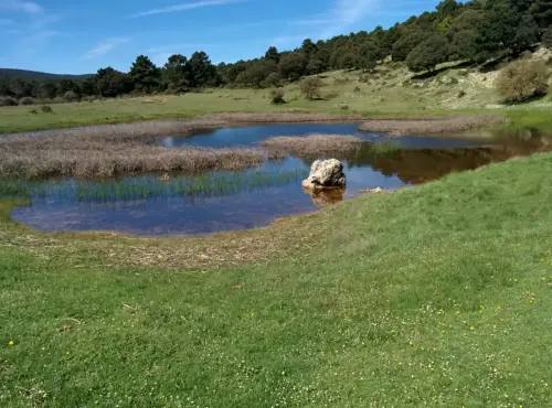 Humedales-Cotillas-Laguna-de-Bonache-Calar-del-Mundo