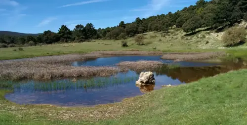 Humedales-Cotillas-Laguna-de-Bonache-Calar-del-Mundo2