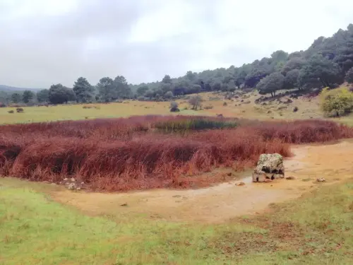 Humedales-Cotillas-Laguna-de-Bonache-Calar-del-Mundo3
