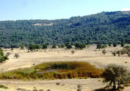 Humedales-Cotillas-Laguna-de-Bonache-Calar-del-Mundo4