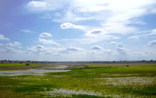 Humedales-El-Bonillo-Canada-de-los-Serranos2