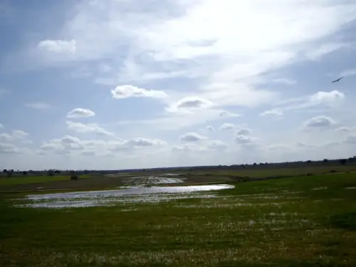 Humedales-El-Bonillo-Canada-de-los-Serranos3