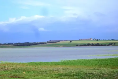 Humedales-El-Bonillo-Hoya-Redonda-Aviacion