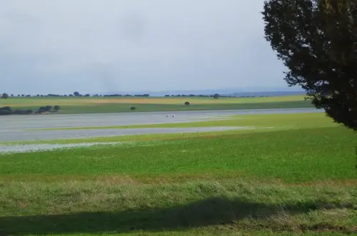 Humedales-El-Bonillo-Hoya-Redonda-Aviacion3