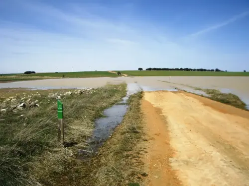 Humedales-El-Bonillo-Lagunazos-estacionales