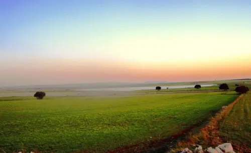 Humedales-El-Bonillo-Lagunazos-estacionales10