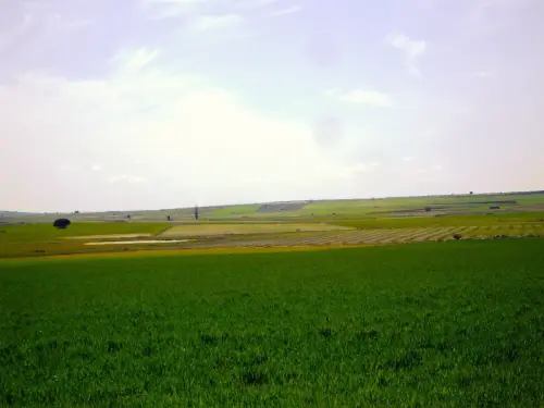 Humedales-El-Bonillo-Lagunazos-estacionales11