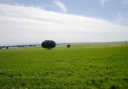 Humedales-El-Bonillo-Lagunazos-estacionales12