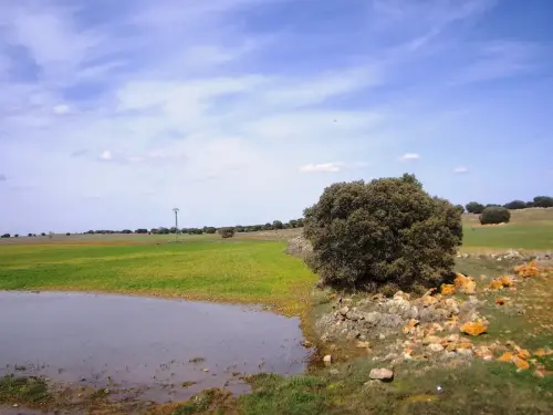 Humedales-El-Bonillo-Lagunazos-estacionales14