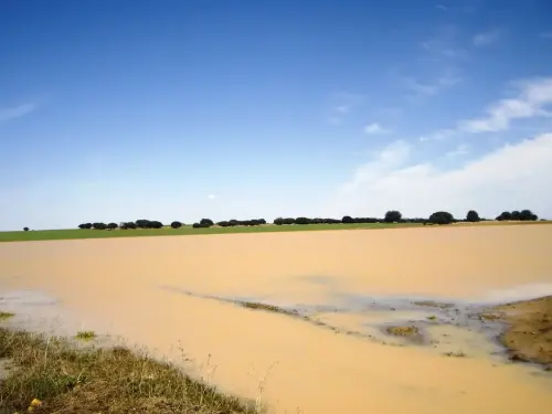 Humedales-El-Bonillo-Lagunazos-estacionales2