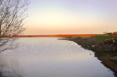 Humedales-El-Bonillo-Lagunazos-estacionales5