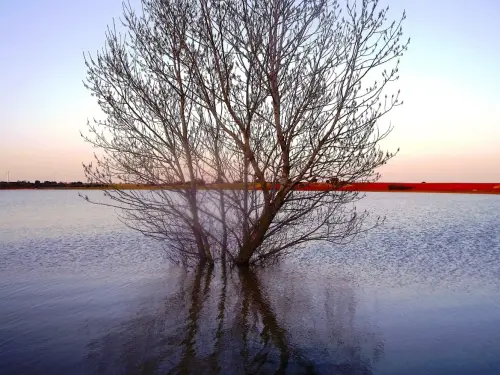 Humedales-El-Bonillo-Lagunazos-estacionales6