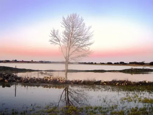 Humedales-El-Bonillo-Lagunazos-estacionales7