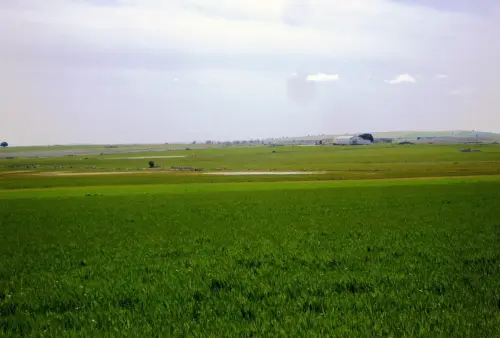 Humedales-El-Bonillo-Lagunazos-estacionales8