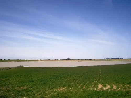 Humedales-El-Bonillo-Navaconchel2